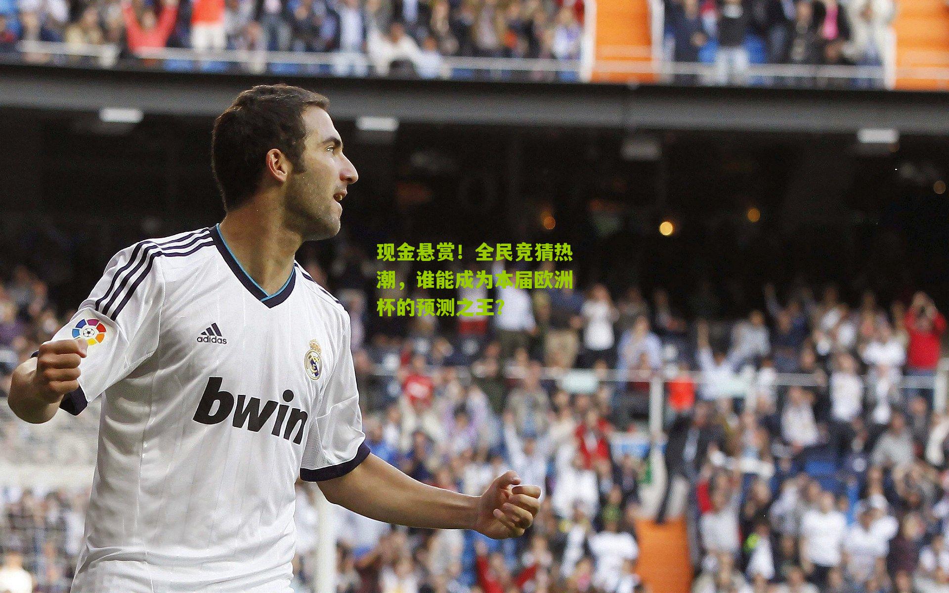 江苏体彩网官网-现金悬赏！全民竞猜热潮，谁能成为本届欧洲杯的预测之王？